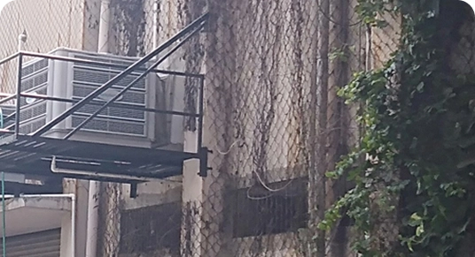 Textile - ACME Creation